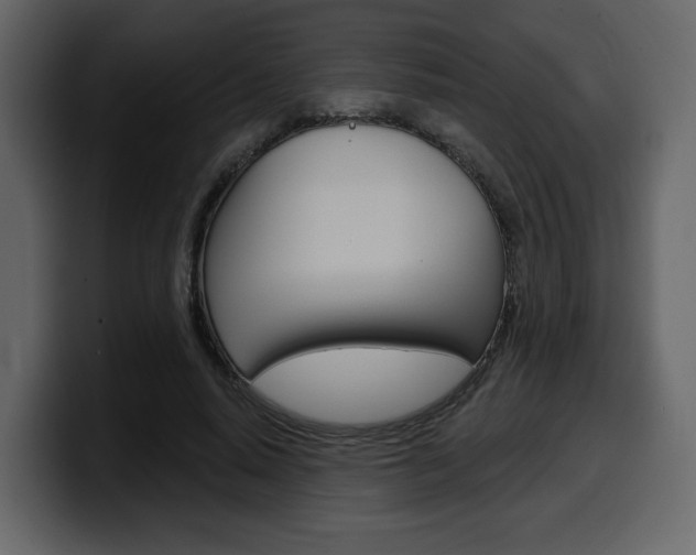 X0000099580640200805160747