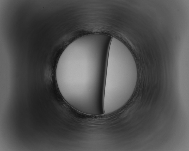 X0000099580643200805160747