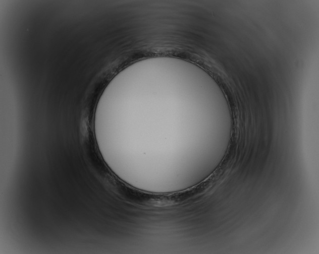 X0000099580644200805160747