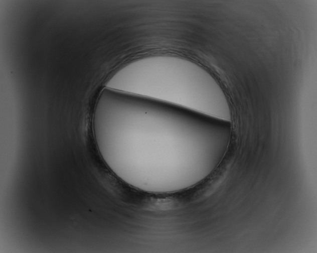X0000099580645200805160747