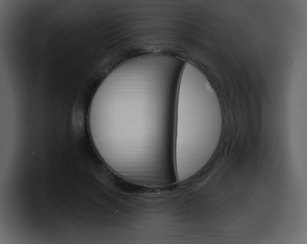 X0000099580646200805160747