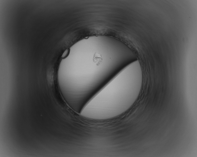 X0000099580647200805160747