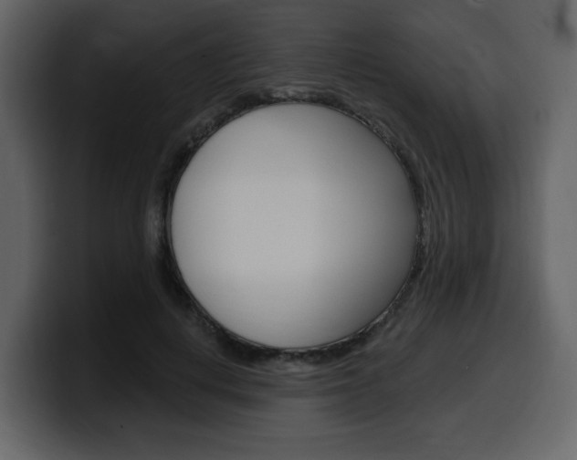 X0000099580648200805160747