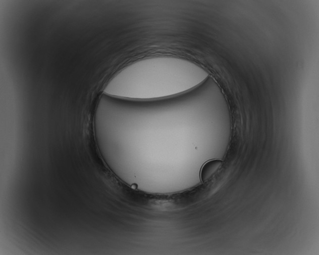 X0000099580649200805160747