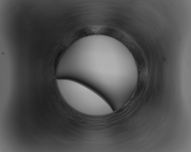 X0000099580651200805160747