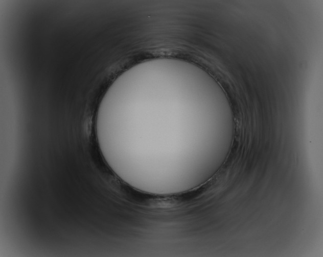 X0000099580652200805160747