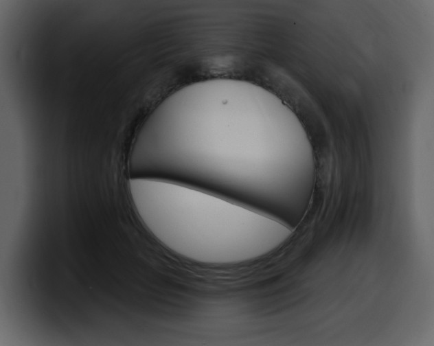 X0000099580653200805160747