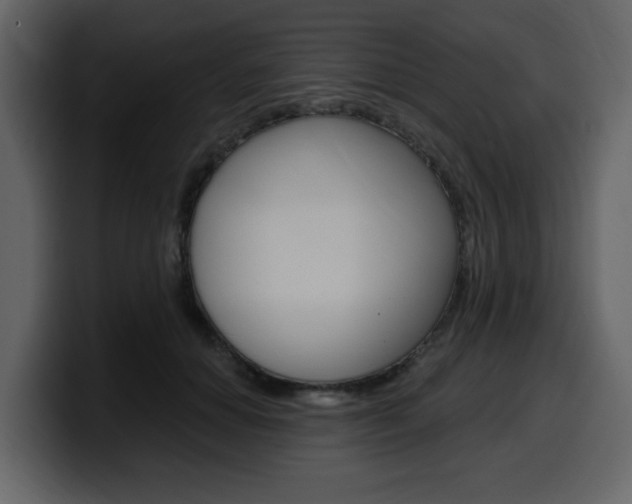 X0000099580654200805160747