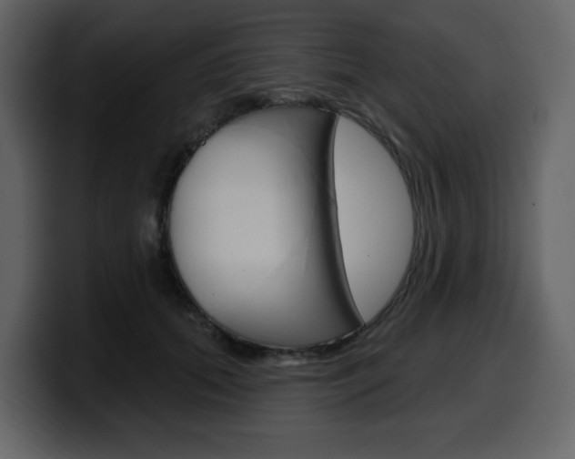 X0000099580655200805160747