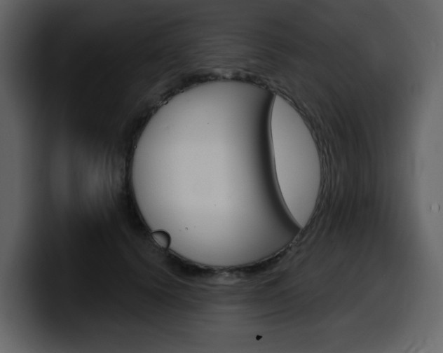 X0000099580656200805160747