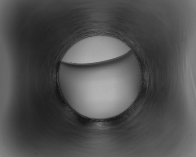 X0000099580657200805160747