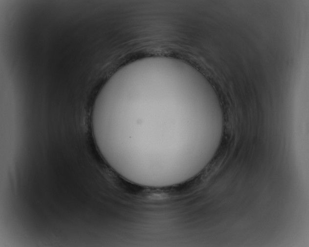 X0000099580658200805160747