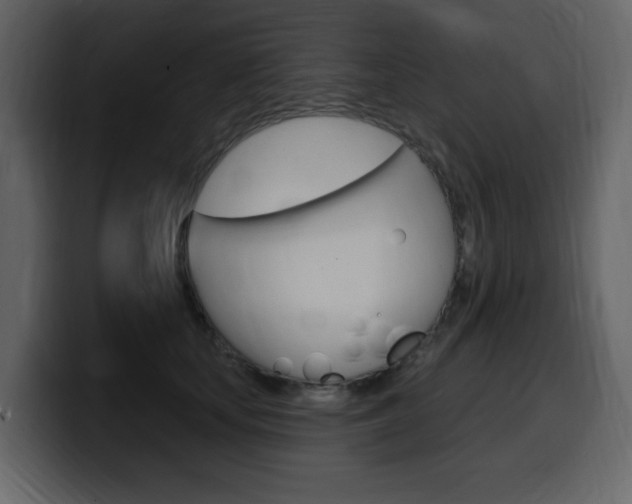 X0000099580659200805160747