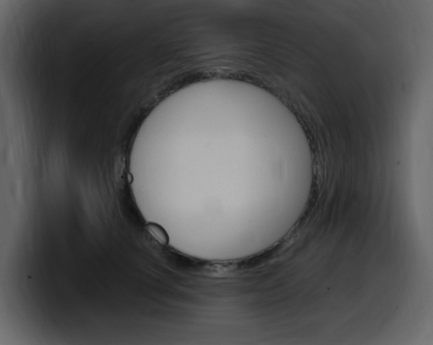 X0000099580660200805160747