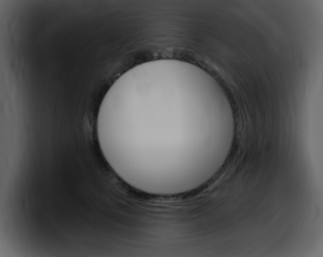 X0000099580661200805160747