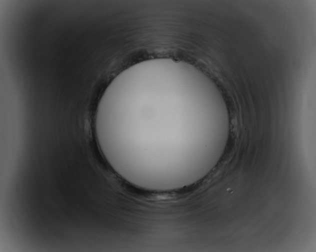 X0000099580662200805160747