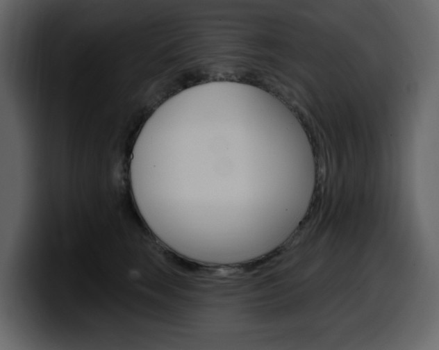 X0000099580663200805160747