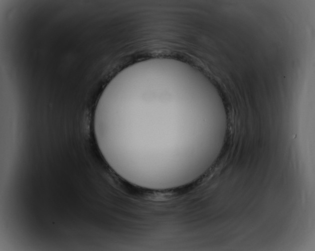 X0000099580664200805160747
