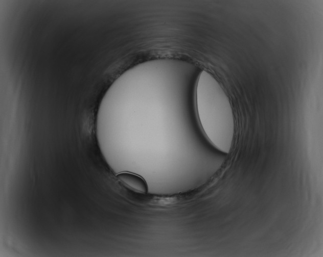 X0000099580665200805160747