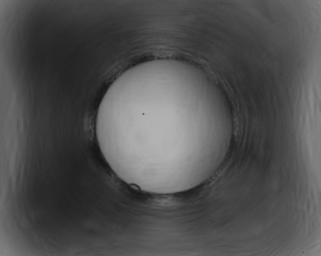 X0000099580666200805160747