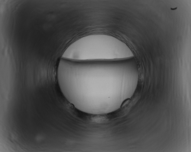 X0000099580669200805160747