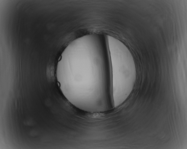 X0000099580670200805160747