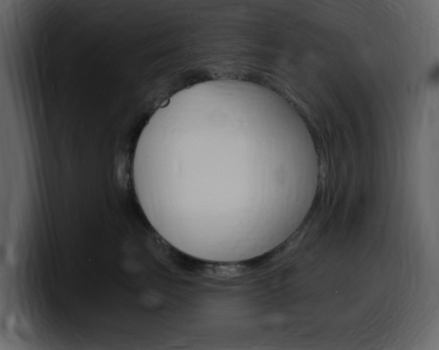 X0000099580671200805160747