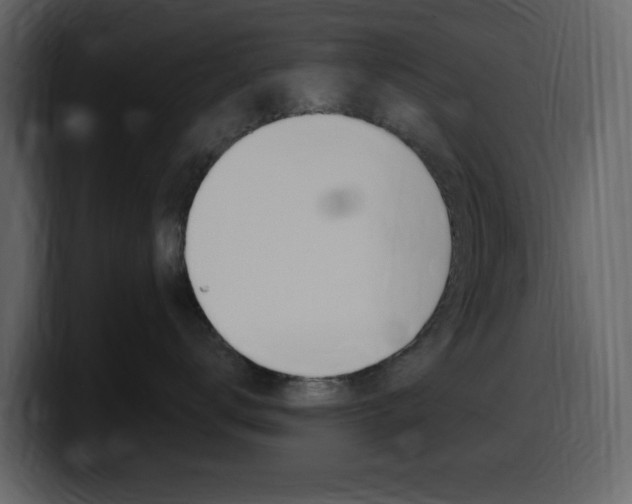 X0000099580672200805160747