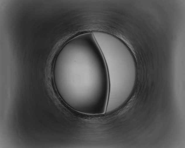 X0000099580673200805160746