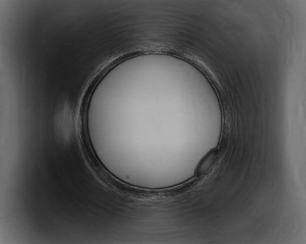 X0000099580674200805160746