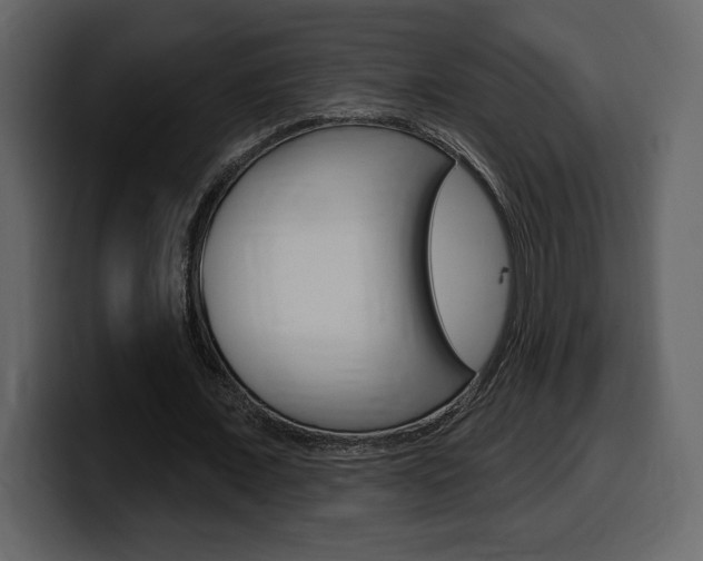 X0000099580675200805160746