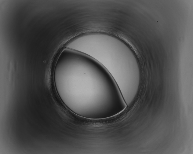 X0000099580677200805160746