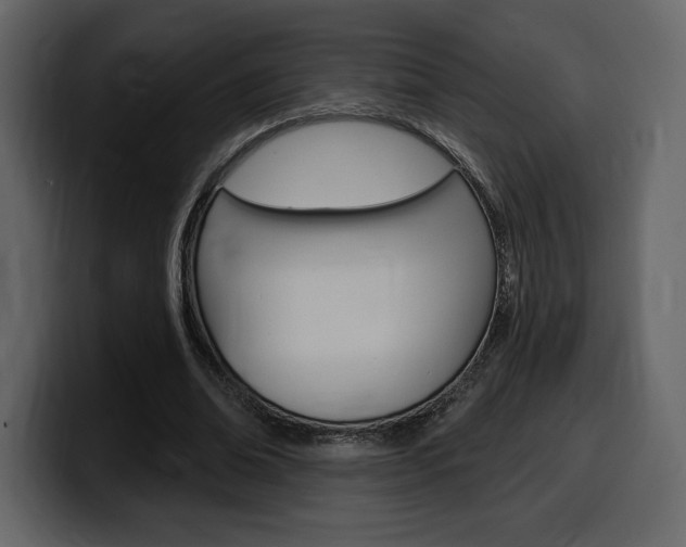 X0000099580678200805160746
