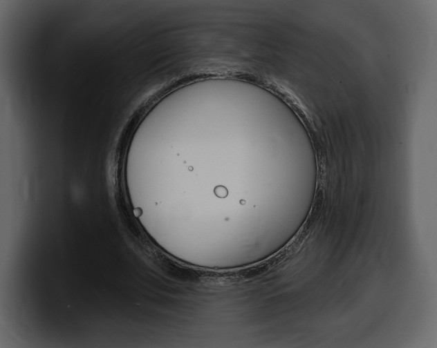 X0000099580679200805160746