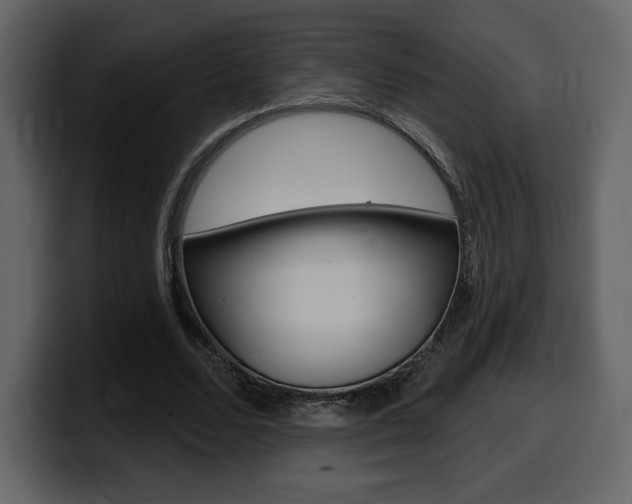 X0000099580680200805160746
