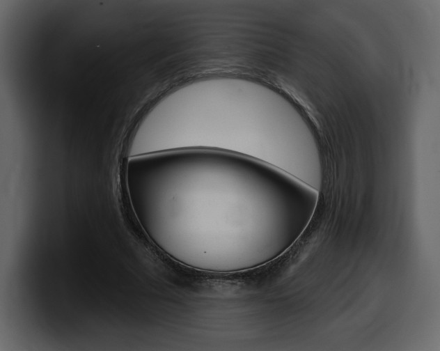 X0000099580681200805160746
