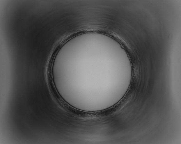 X0000099580682200805160746