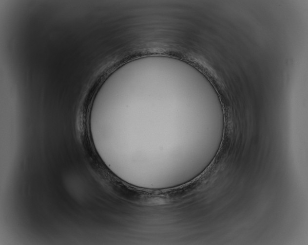 X0000099580683200805160746