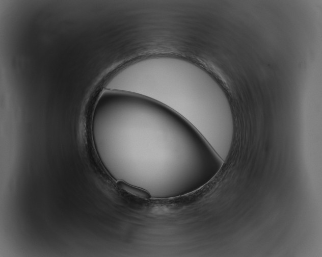 X0000099580684200805160746