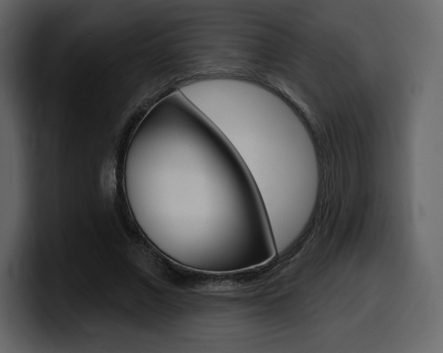 X0000099580685200805160746