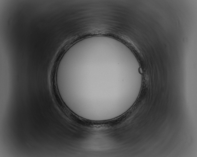 X0000099580686200805160746