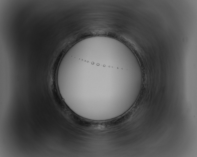 X0000099580687200805160746