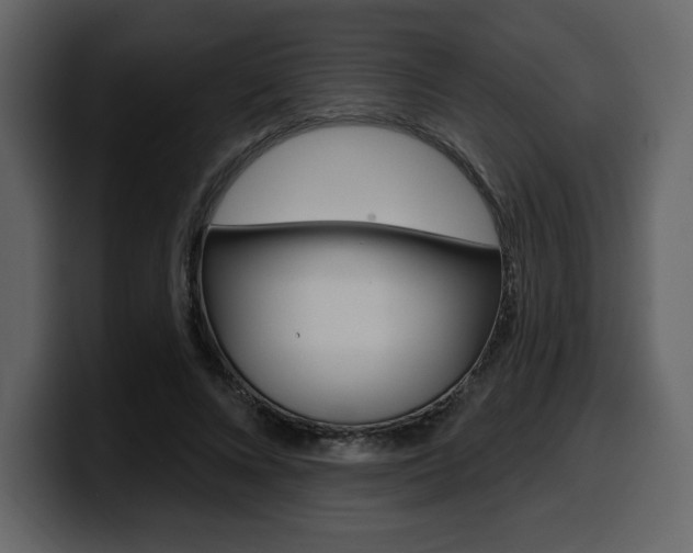 X0000099580688200805160746