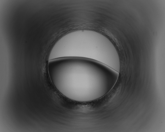 X0000099580689200805160746