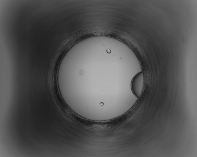 X0000099580690200805160746