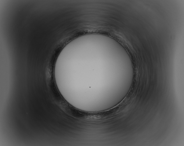 X0000099580691200805160746