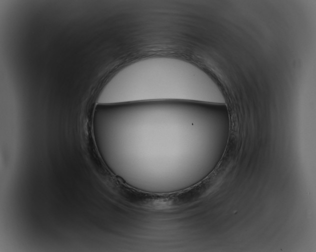 X0000099580692200805160746