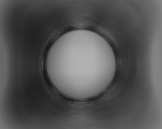 X0000099580694200805160746
