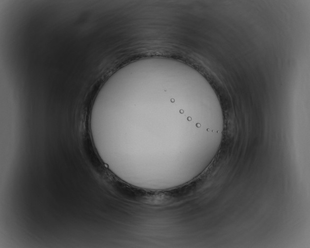 X0000099580695200805160746