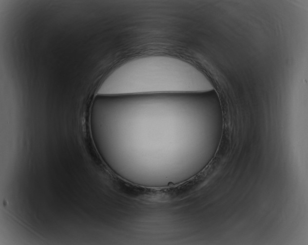 X0000099580696200805160746